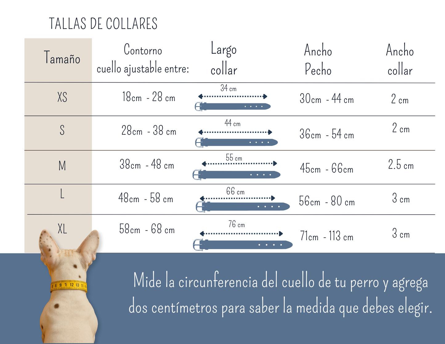 tallas de collares y arnes
