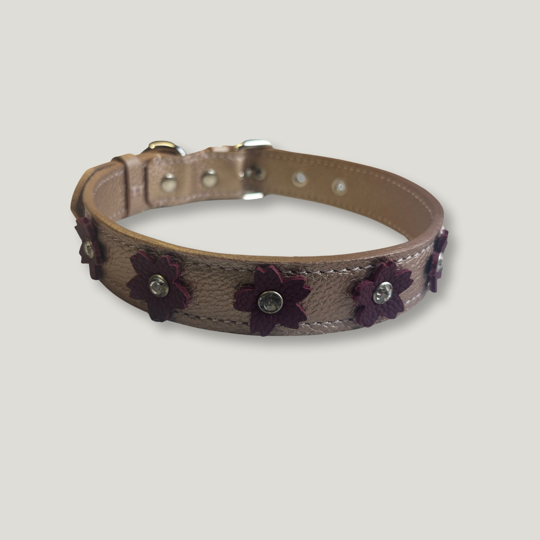 collar para perro