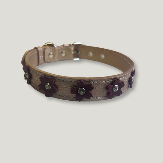 collar para perro