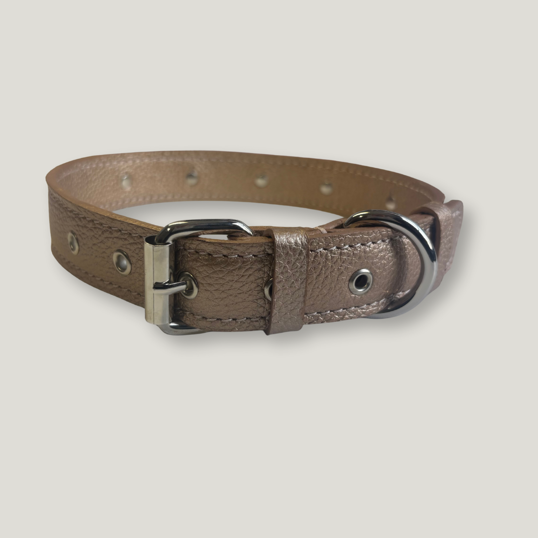 collar para perro