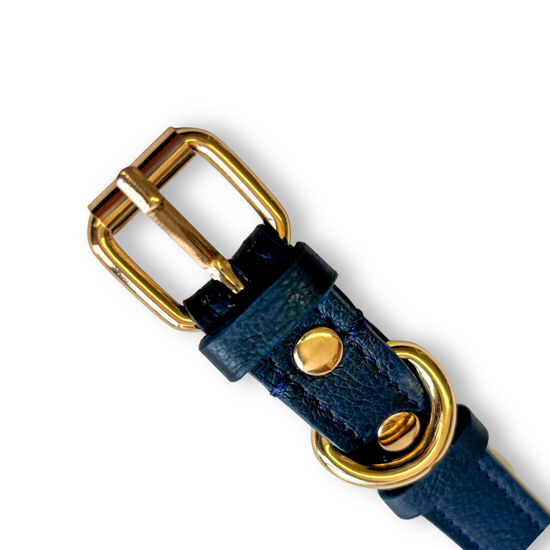 Collar Relox