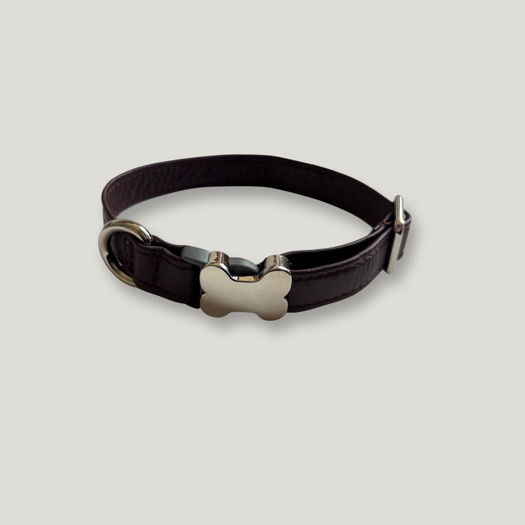 collar para perro