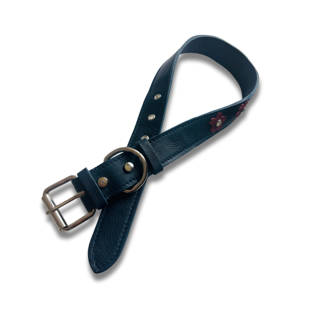 Collar Sollano
