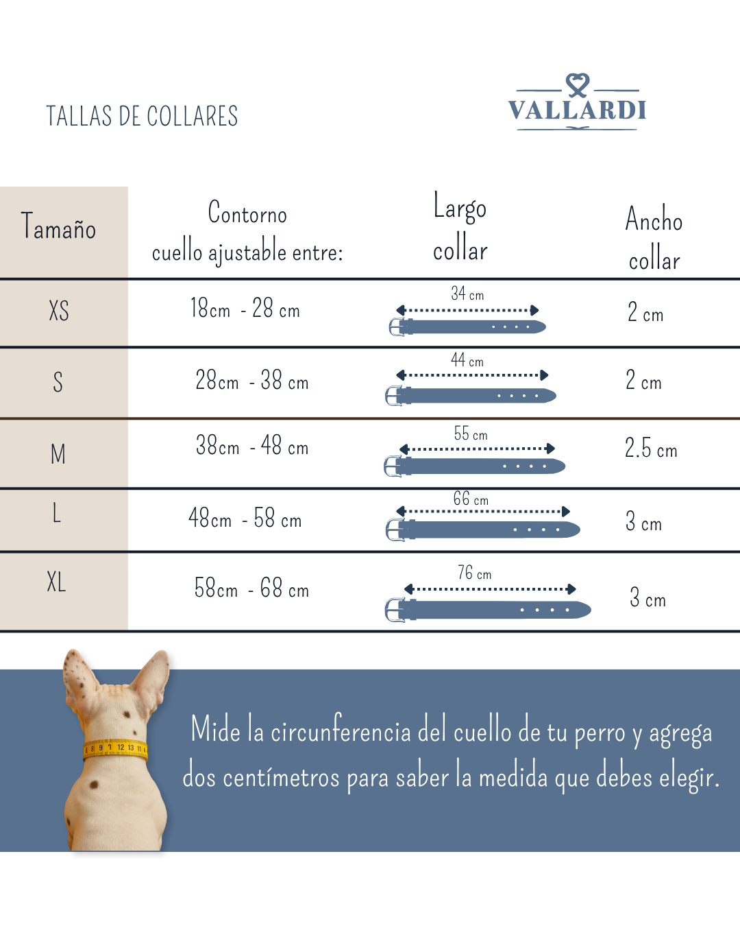 Tallas de collares para perro