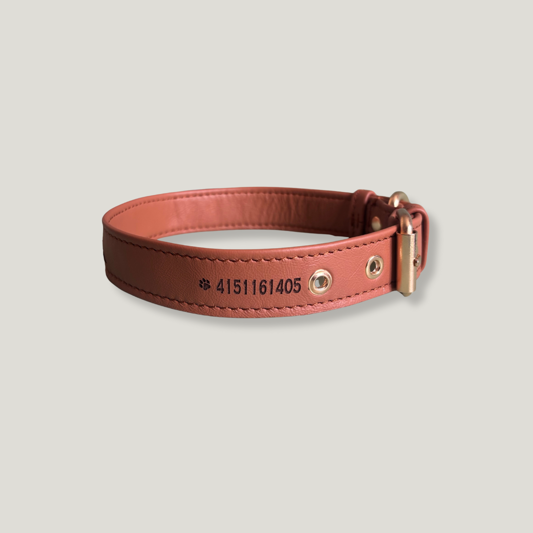 collar para perro