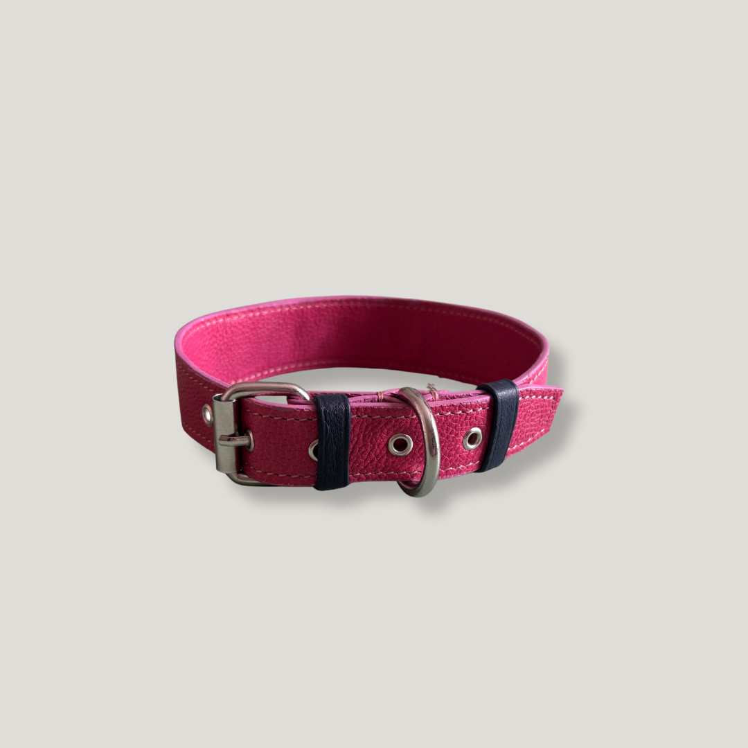 collar para perro