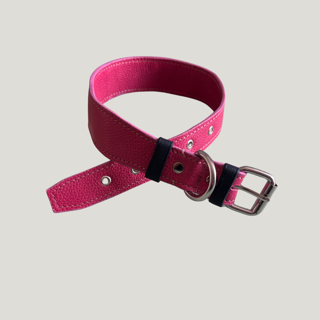 collar para perro