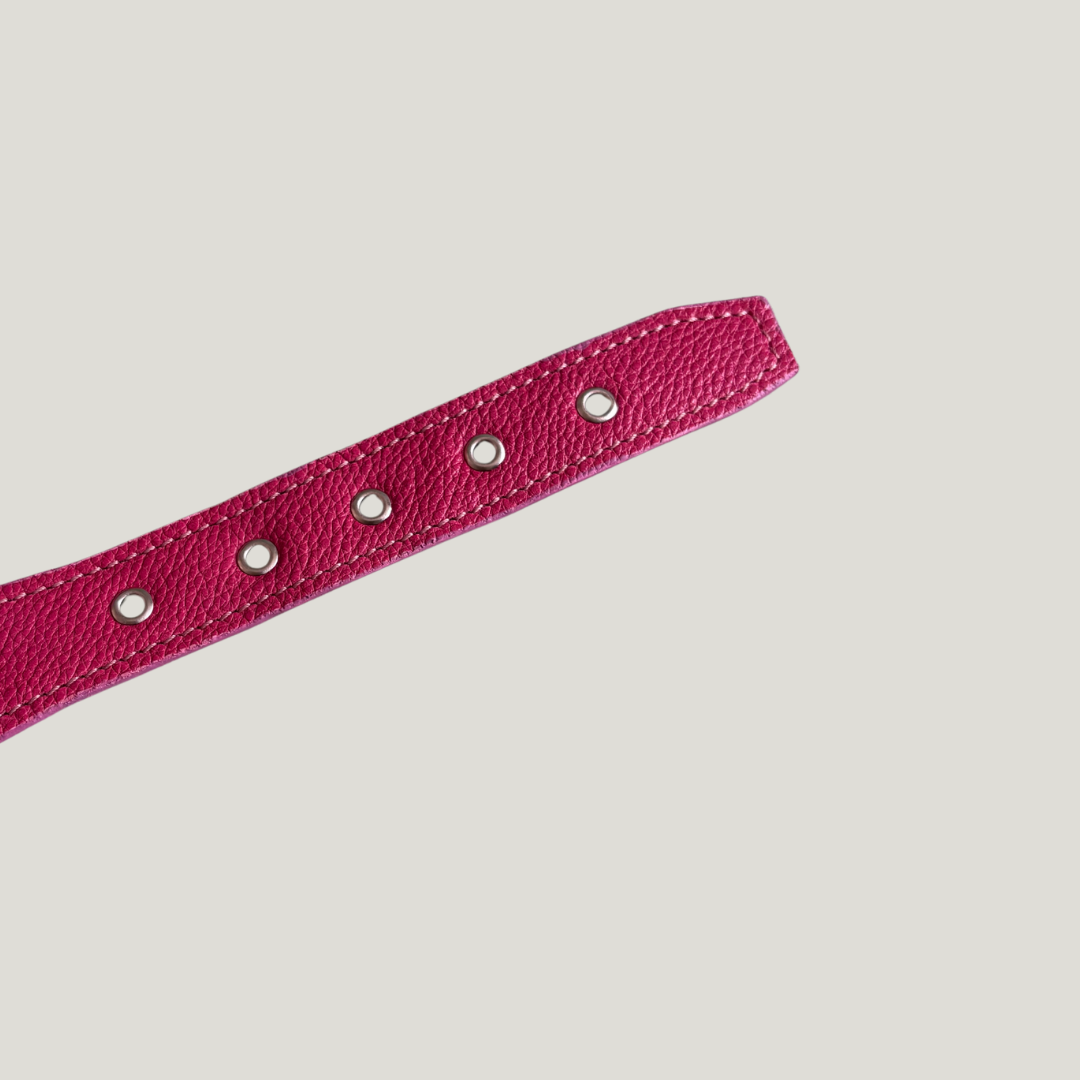 collar para perro